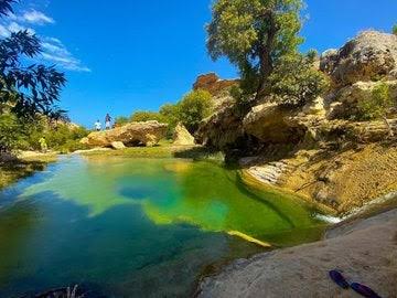 Somali Travel Agency 