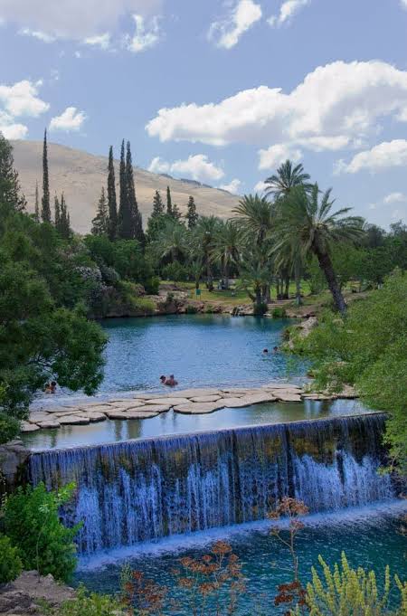 Palestine Travel Palestine 