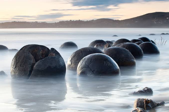 New Zealand Viva expeditions