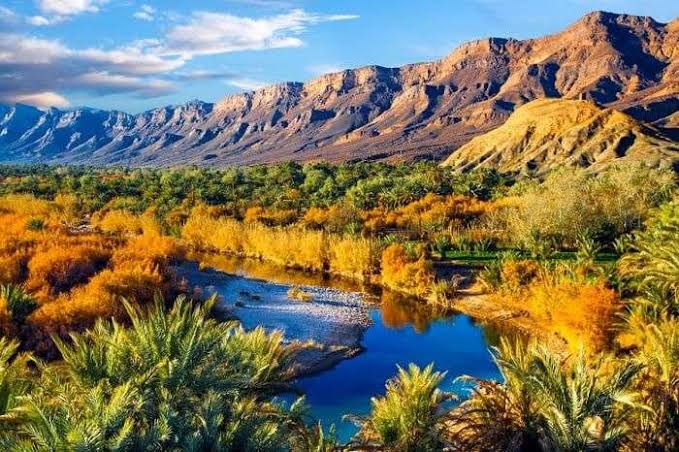 Morocco RJ travel agency 